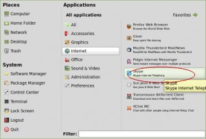 Skype in applications