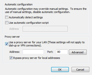 IE LAN Settings